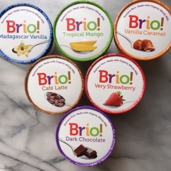 Gluten-free ice cream from Brio Ice Cream